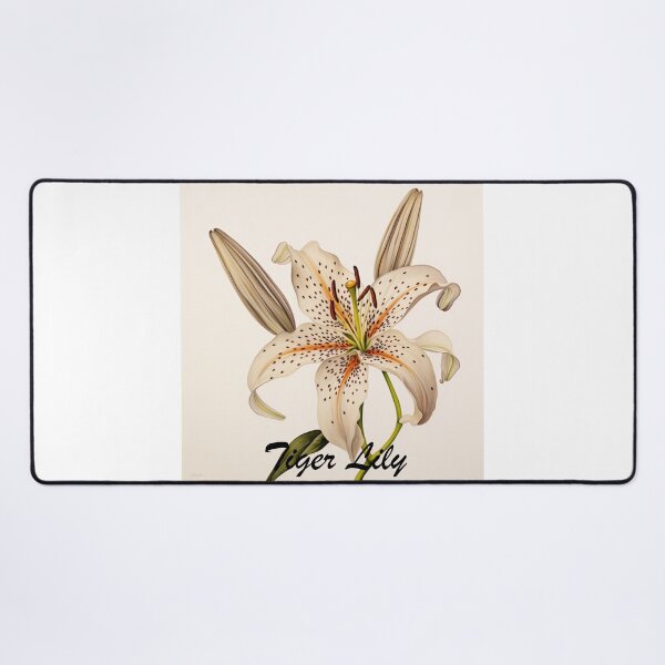 Item preview, Tiger Lily Flowers Inspired By My Mothers Flower Paintings designed and sold by CDC40.