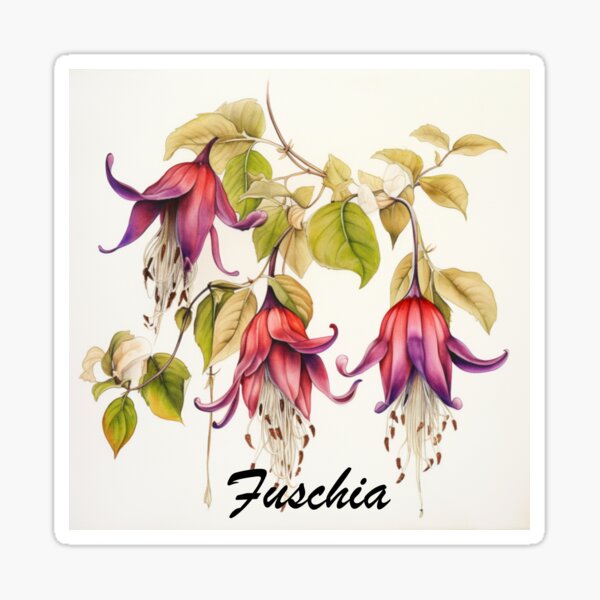 Item preview, Fuschia Flowers Inspired By My Mothers Flower Paintings  designed and sold by CDC40.