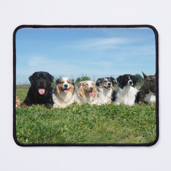 Item preview, Friendly Dogs designed and sold by Designs-MC.