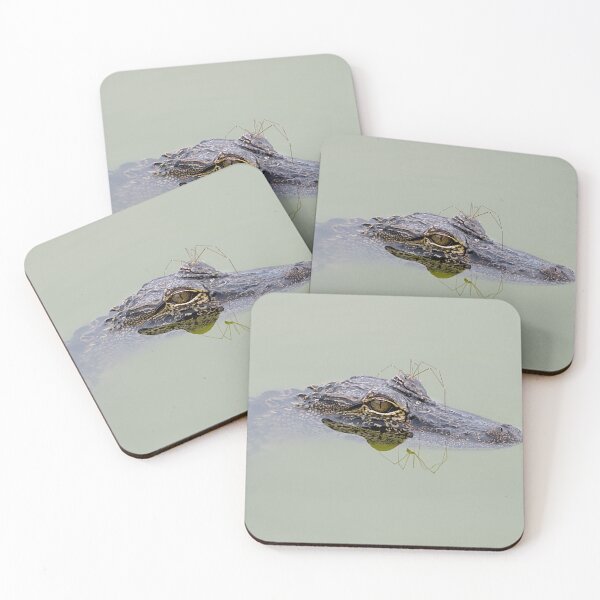 Item preview, American Alligator and Spider designed and sold by adventuresswfl.