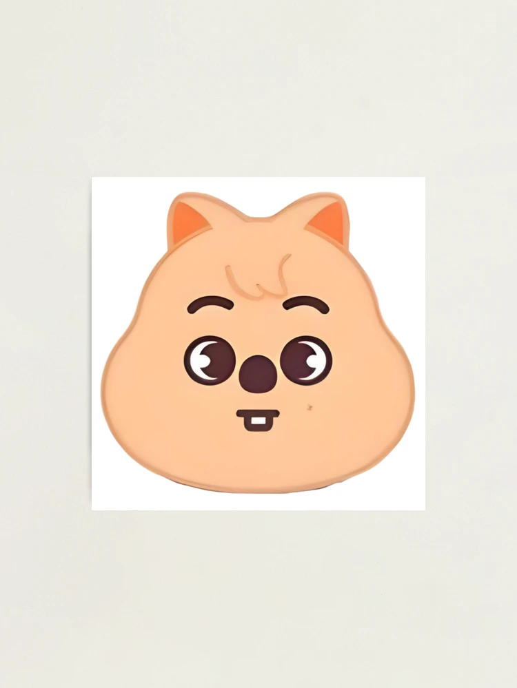 straykids HAN QUOKKA ハン スキズ SKZOO クッション