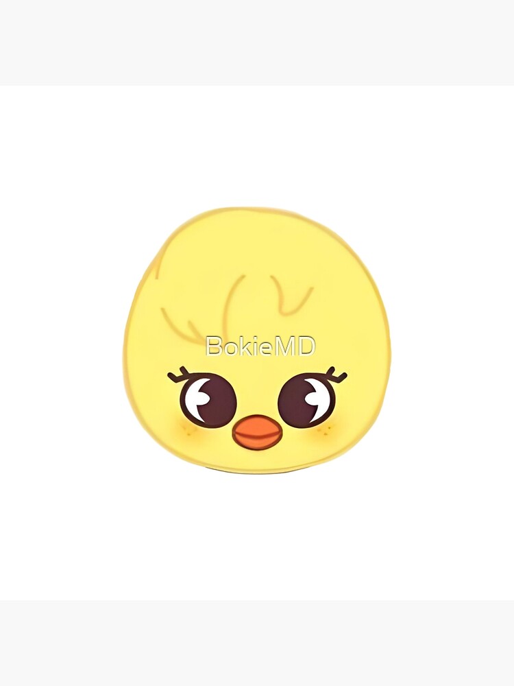 BBOKARI SKZOO, STRAY KIDS FELIX