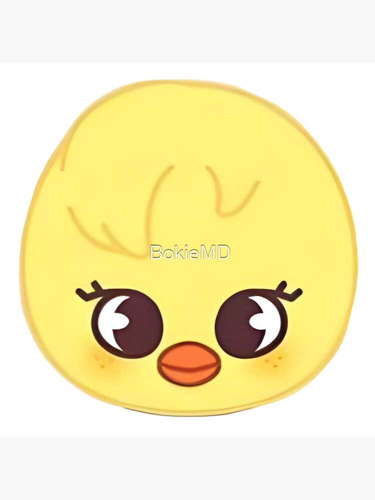 BBOKARI SKZOO, STRAY KIDS FELIX