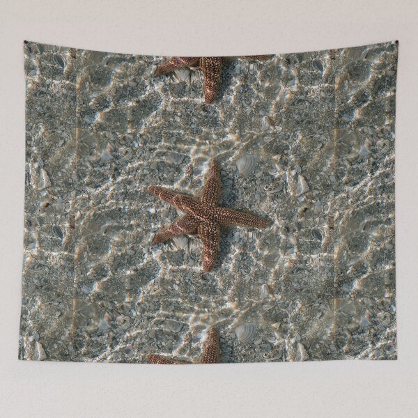 Item preview, Forbes’ Sea Star designed and sold by adventuresswfl.