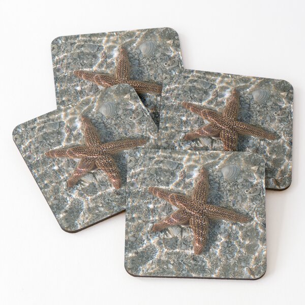 Item preview, Forbes’ Sea Star designed and sold by adventuresswfl.