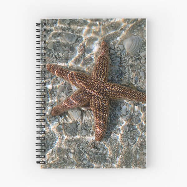 Item preview, Forbes’ Sea Star designed and sold by adventuresswfl.
