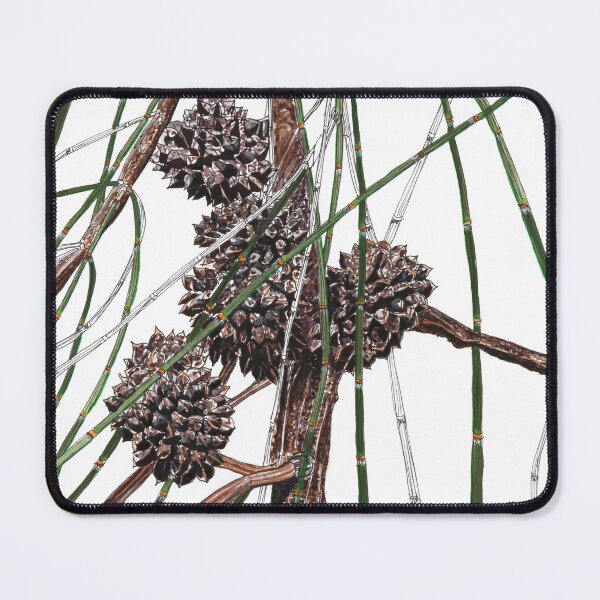 Item preview, Sheoak casuarina Australian flora designed and sold by blueidesign.