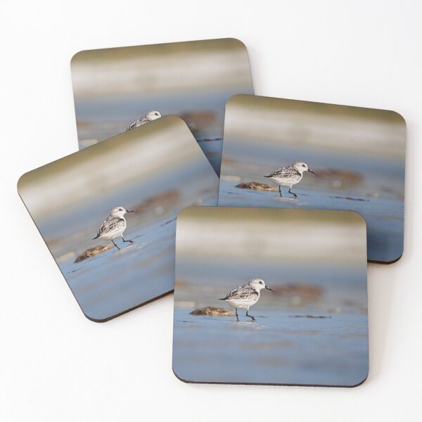 Item preview, Sanderling designed and sold by adventuresswfl.