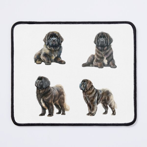 Item preview, Newfoundland Dogs designed and sold by TheAnimalZ00.