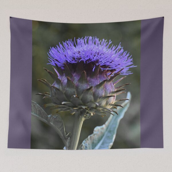 Item preview, Globe Artichoke designed and sold by okomedesign.