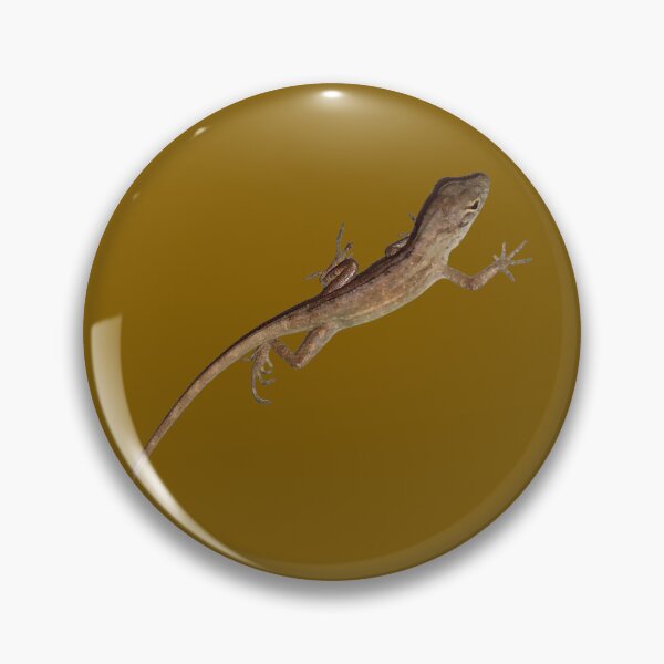 Artikelvorschau, Braune Anolis (2) entworfen und verkauft von RosetheOtter.