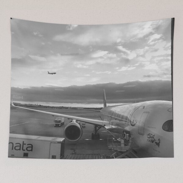 Artikelvorschau, monochromes Flugzeug entworfen und verkauft von SnappedbyRivka.