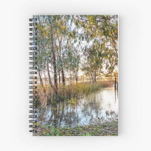 Item preview, Lyrup at sunrise, Riverland designed and sold by Elana Bailey.
