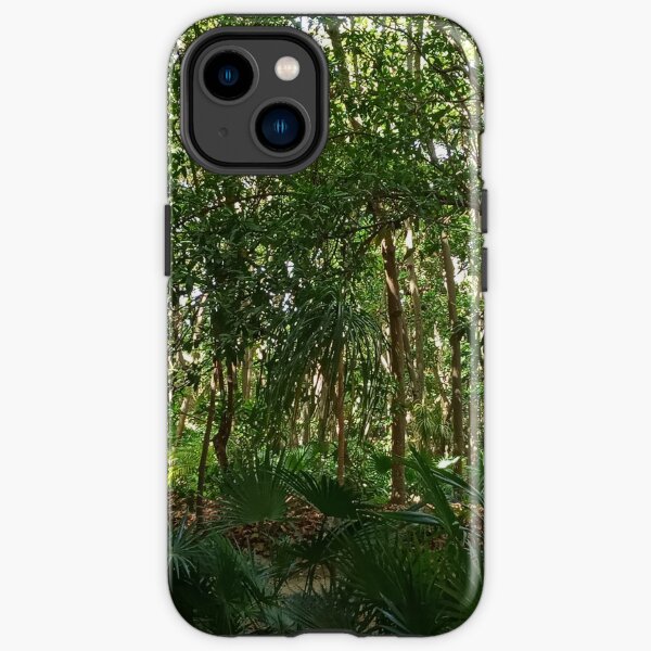 Mother Nature II - Cancún, Mexico iPhone Tough Case