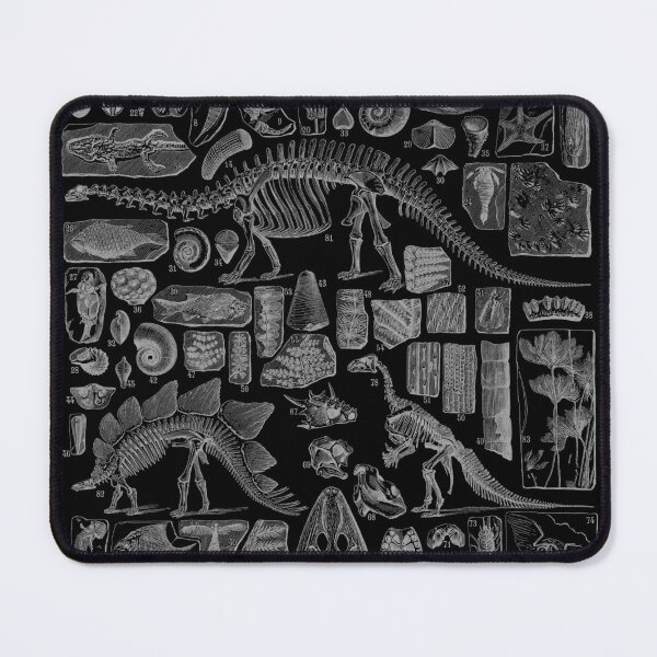 Item preview, Paleontology Fossil Chart designed and sold by avperth.