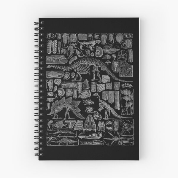 Item preview, Paleontology Fossil Chart designed and sold by avperth.