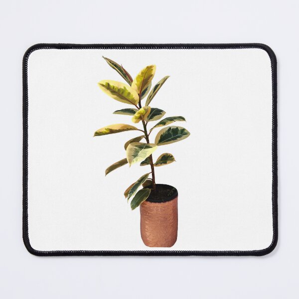 Item preview, Ficus Elastica Tineke designed and sold by abby8re.