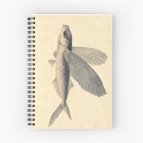 Item preview, Flying Fish by Mary Symonds designed and sold by Amanda1775.