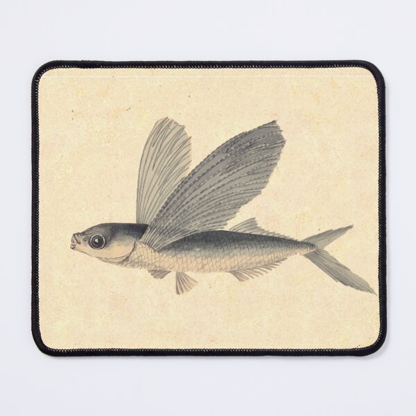 Item preview, Flying Fish by Mary Symonds designed and sold by Amanda1775.