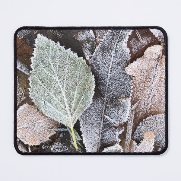 Item preview, autumn leaf with veins is covered with frost designed and sold by mrivserg.