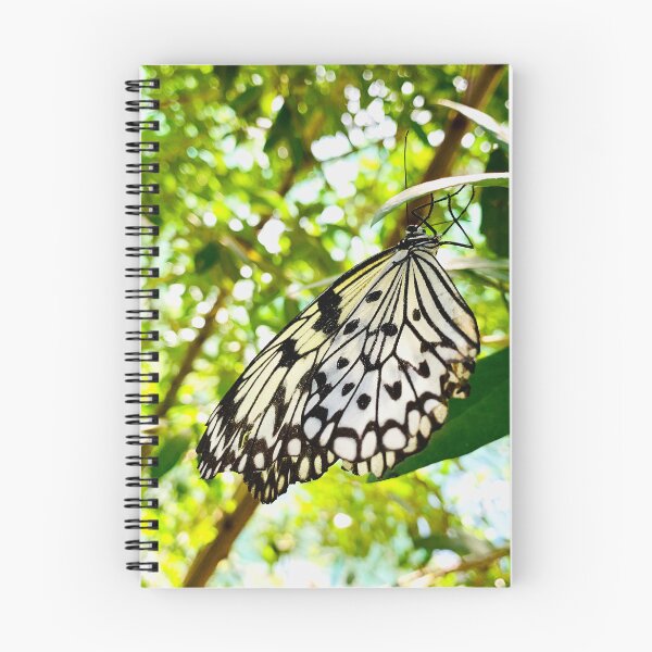 Item preview, Fotografía digital de mariposas_Mariposa en blanco y negro designed and sold by TeraiNB.