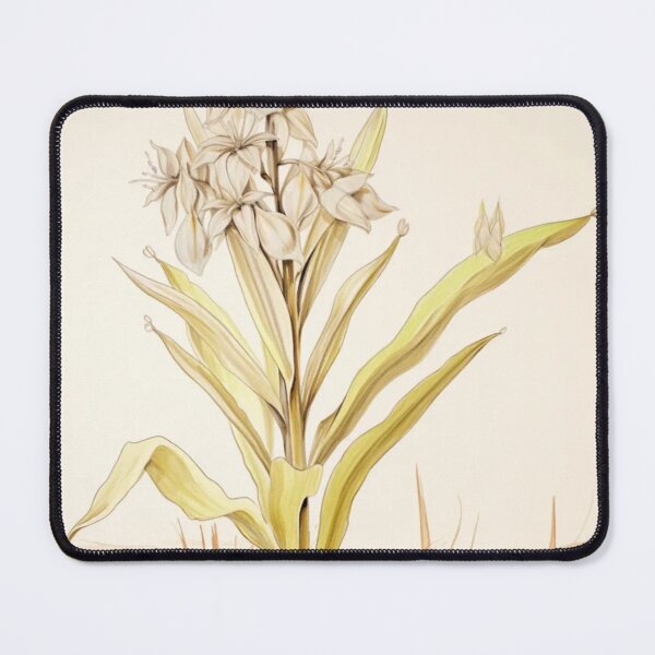 Item preview, Yucca Flowers Inspired By My Mothers Flower Paintings  designed and sold by CDC40.