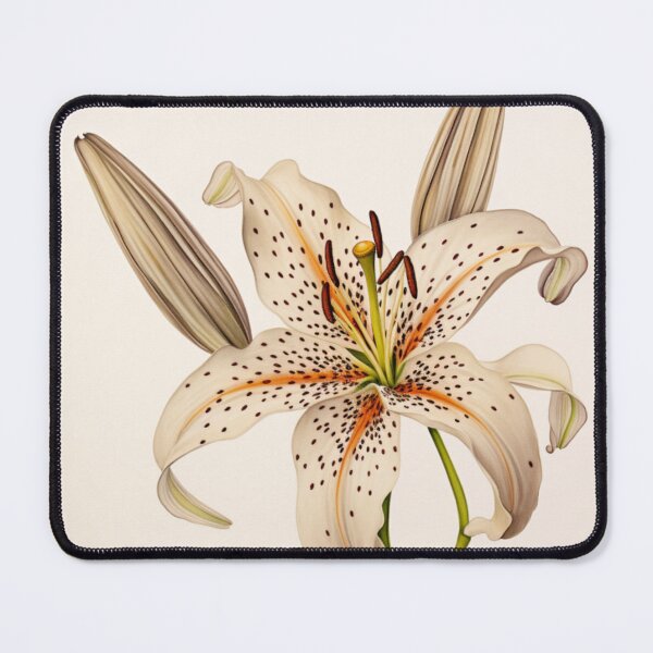 Item preview, Tiger Lily Flowers Inspired By My Mothers Flower Paintings designed and sold by CDC40.