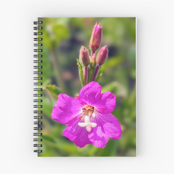 Item preview, Glimpses of Ireland - Wildflower, willowherb designed and sold by GlimpseIreland.