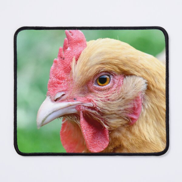 Item preview, Buff Orpington Chicken designed and sold by Shining Bright Arts, Crafts & Illustration.