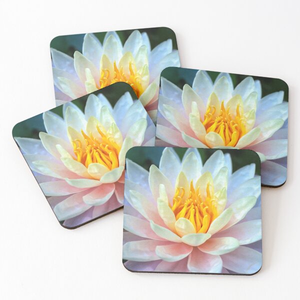Item preview, Asian Water Lily designed and sold by AJEvans.