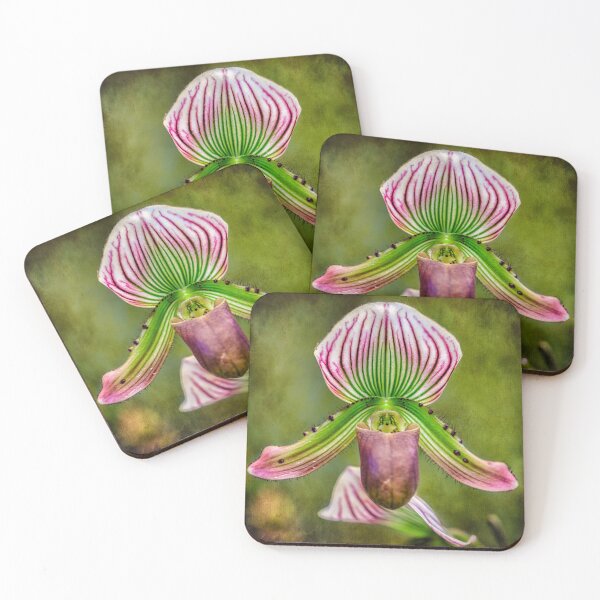 Item preview, Ladys Slipper Orchid Thailand designed and sold by AJEvans.