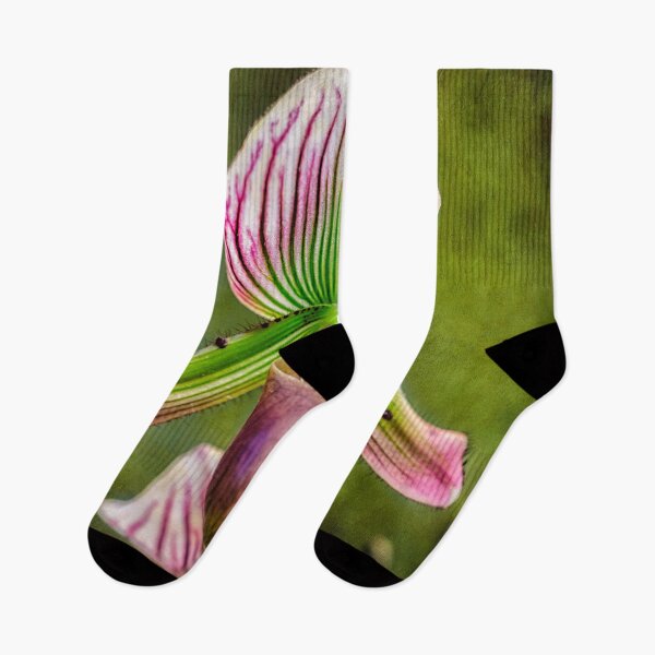 Item preview, Ladys Slipper Orchid Thailand designed and sold by AJEvans.