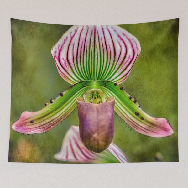 Item preview, Ladys Slipper Orchid Thailand designed and sold by AJEvans.