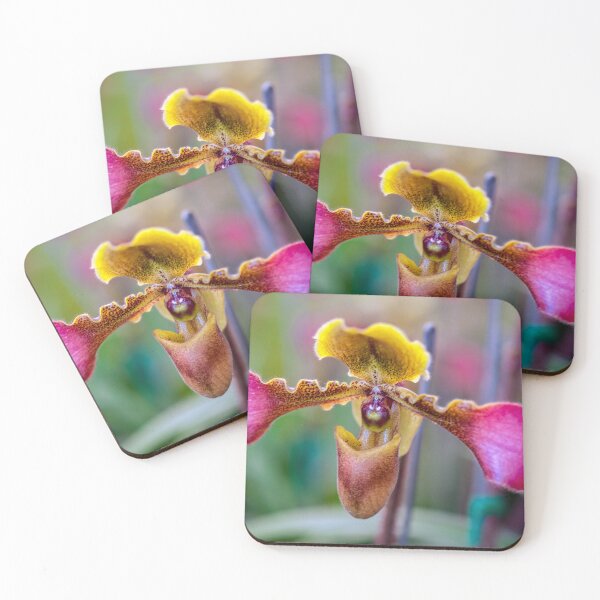 Item preview, Ladys Slipper Orchid Thailand designed and sold by AJEvans.