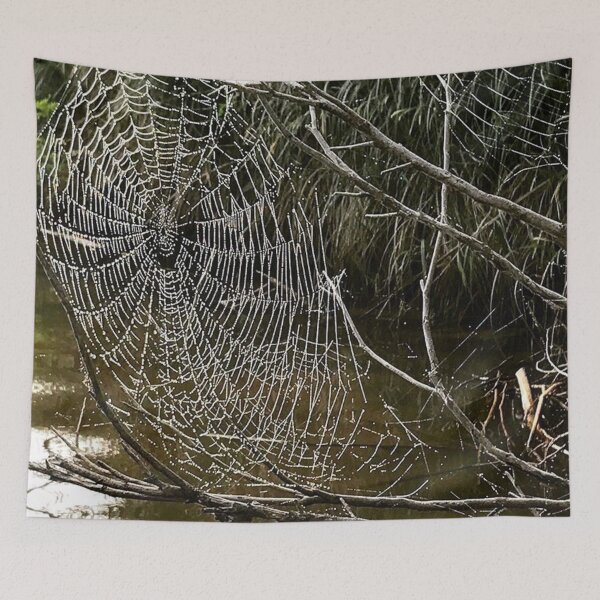 Item preview, Spiderweb designed and sold by Clarissa Sharp.