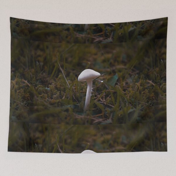 Item preview, A small white mushroom in the moss designed and sold by MyArtistry.