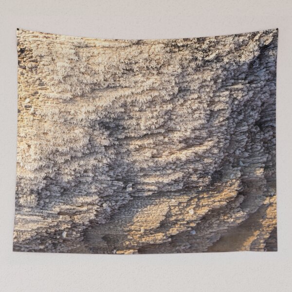 Item preview, Cool Hoarfrost Forms and Patterns on Driftwood designed and sold by Georgia Mizuleva.