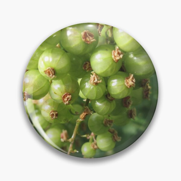 Item preview, Green Red Currants designed and sold by Calidris Fotografie Steffi & Ben Köppler.