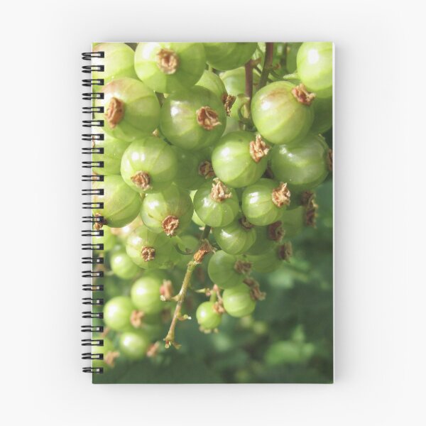 Item preview, Green Red Currants designed and sold by Calidris Fotografie Steffi & Ben Köppler.