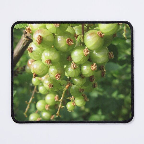 Item preview, Green Red Currants designed and sold by Calidris Fotografie Steffi & Ben Köppler.
