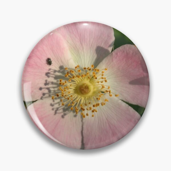 Item preview, Dog Rose designed and sold by Calidris Fotografie Steffi & Ben Köppler.