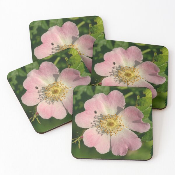 Item preview, Dog Rose designed and sold by Calidris Fotografie Steffi & Ben Köppler.