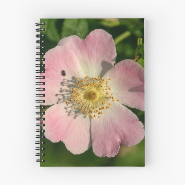 Item preview, Dog Rose designed and sold by Calidris Fotografie Steffi & Ben Köppler.