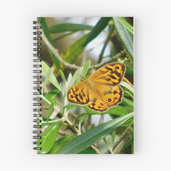 Item preview, Beautiful Butterfly designed and sold by Jane Izzy Designs.
