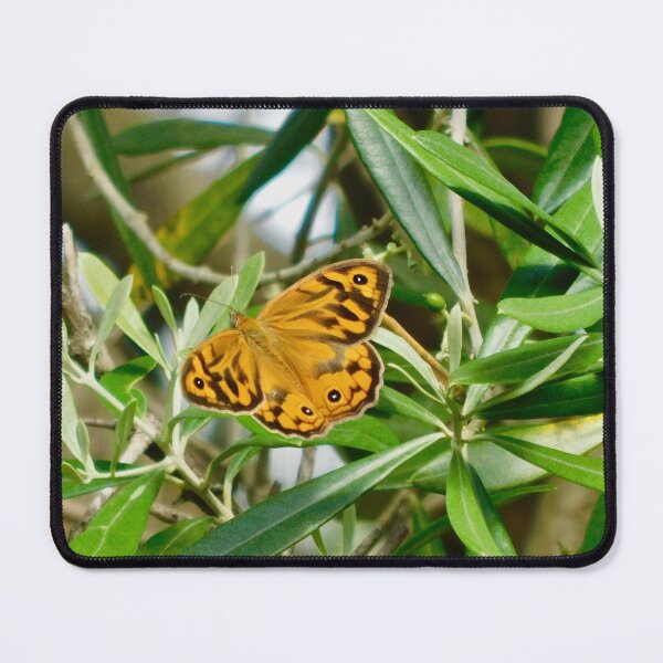 Item preview, Beautiful Butterfly designed and sold by Jane Izzy Designs.