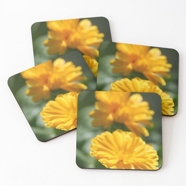 Item preview, Pot Marigold designed and sold by Calidris Fotografie Steffi & Ben Köppler.
