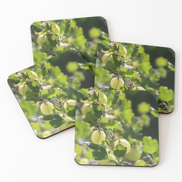 Item preview, Gooseberries designed and sold by Calidris Fotografie Steffi & Ben Köppler.