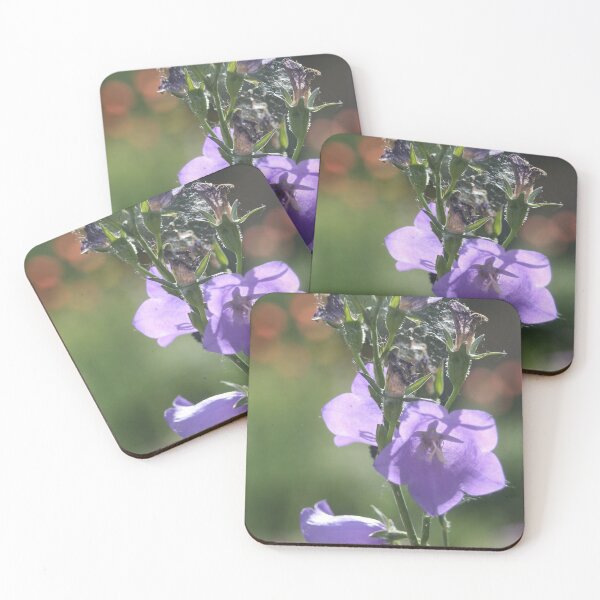 Item preview, Peach-leaved Bellflower designed and sold by Calidris Fotografie Steffi & Ben Köppler.