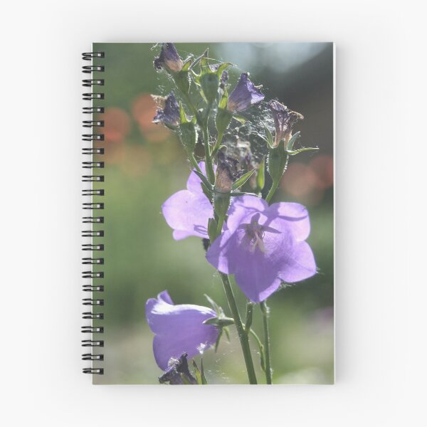 Item preview, Peach-leaved Bellflower designed and sold by Calidris Fotografie Steffi & Ben Köppler.
