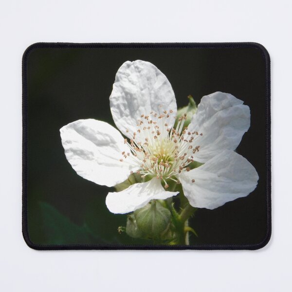 Item preview, Blackberry Blossom designed and sold by Jane Izzy Designs.